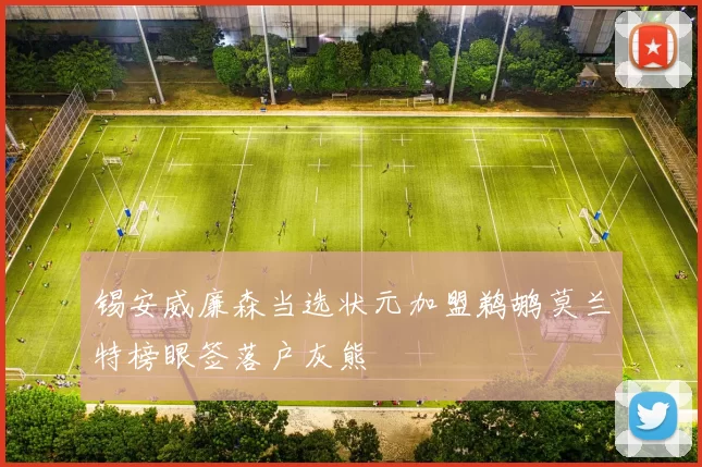 锡安威廉森当选状元加盟鹈鹕莫兰特榜眼签落户灰熊