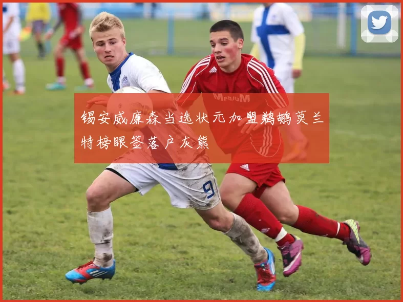 锡安威廉森当选状元加盟鹈鹕莫兰特榜眼签落户灰熊